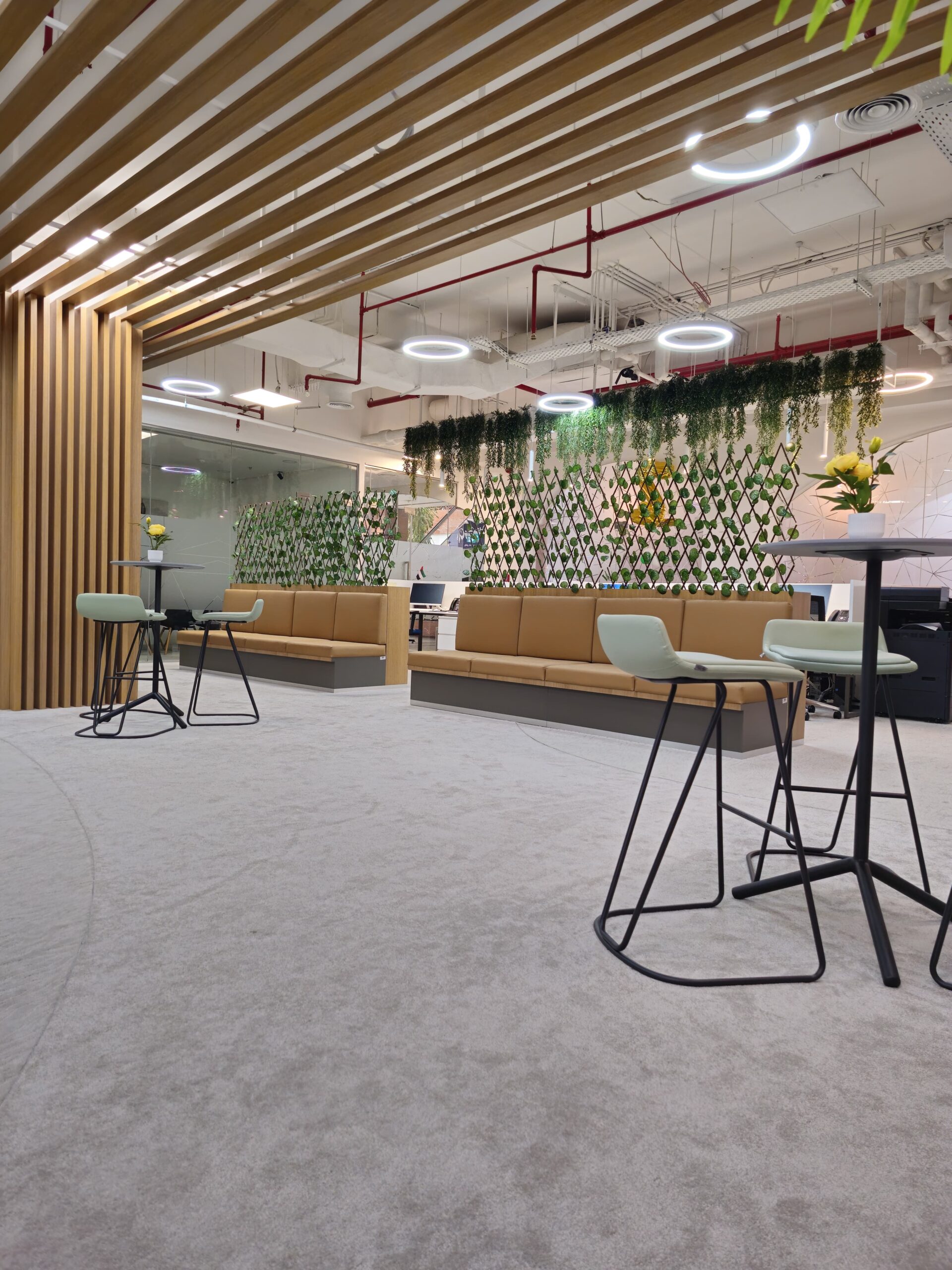 Aesthetic Clinic Interior Design