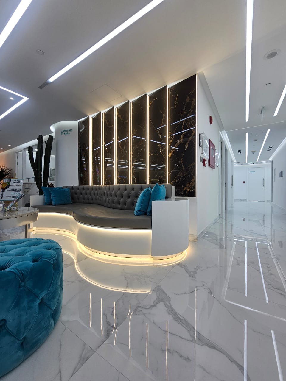 Clinic Interior Decoration
